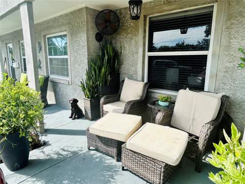 4611 14th Avenue, St Petersburg FL - photo 6 of 6
