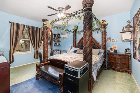 30308 Cheval Street, Mount Dora FL - photo 13 of 35