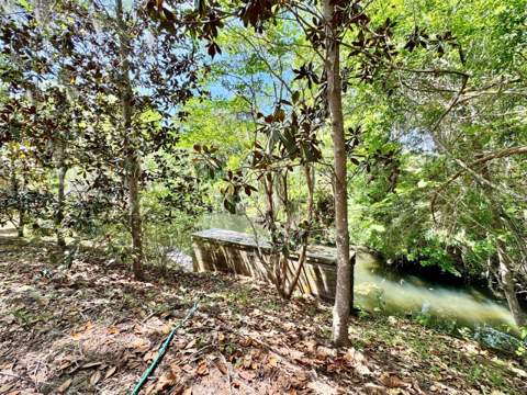 30391 NE 97th Place, Salt Springs FL - photo 9 of 43