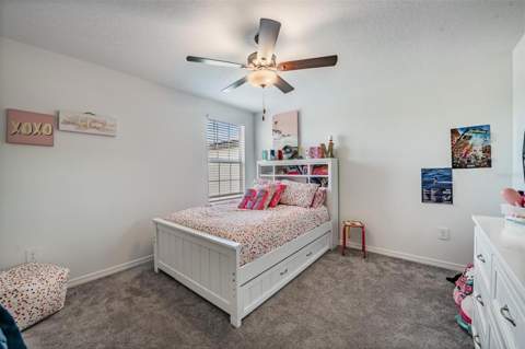2515 Victorious Falls Avenue, Plant City FL - photo 23 of 34