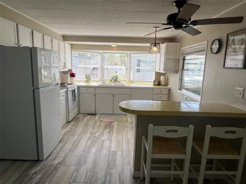 103 Pindo Palm Street, Largo FL - photo 15 of 28
