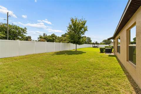 3706 Cat Mint Street, Tampa FL - photo 22 of 25