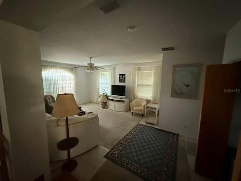 965 Palmetto Drive, Safety Harbor FL - photo 6 of 6