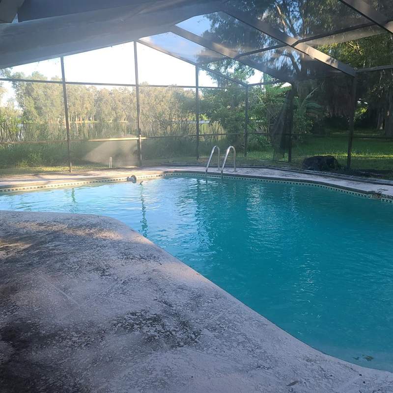 4 bedroom Single Family Residence at 2400 Pine Hammock, Pinellas Groves, Clearwater — photo 3