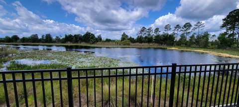 17319 Million Lakes Court, Clermont FL - photo 22 of 53