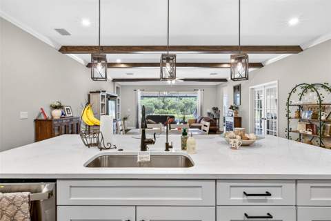 6946 Talamore Drive, Wesley Chapel FL - photo 13 of 76