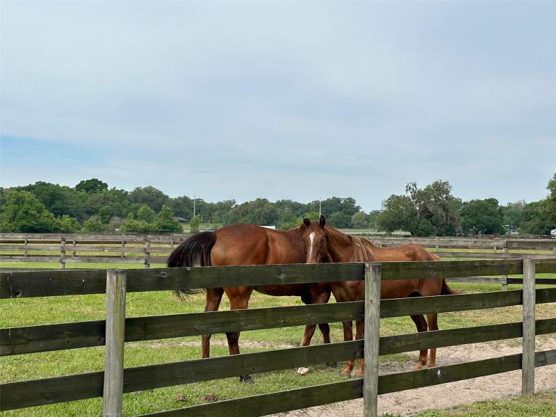 4 bedroom Farm at 4101 NW 89th Place, Ocala, Ocala — photo 4
