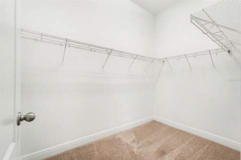 7614 Atwood Drive, Wesley Chapel FL - photo 18 of 30