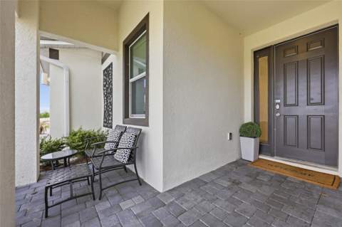 2437 Shanti Drive, Kissimmee FL - photo 6 of 95