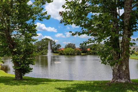 7728 Balharbour Drive, New Port Richey FL - photo 24 of 30