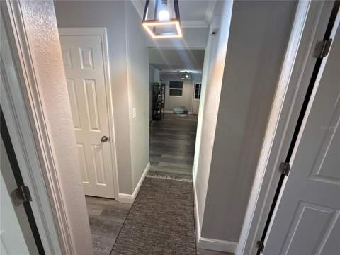 903 N Harbor Terrace, Tavares FL - photo 24 of 71