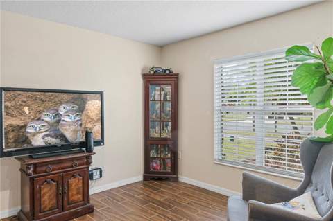 4071 Flowering Peach Lane, St Cloud FL - photo 10 of 46