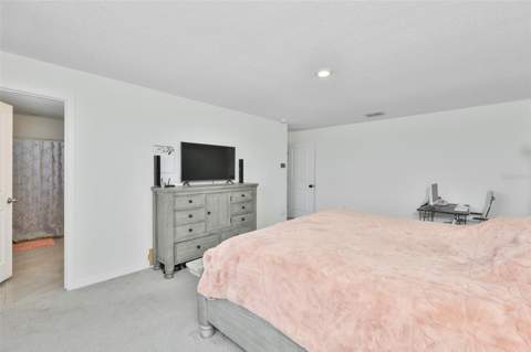 5244 Fiddle Fig Avenue, Wimauma FL - photo 21 of 51