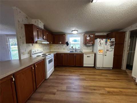 8535 23rd Street, Zephyrhills FL - photo 11 of 39