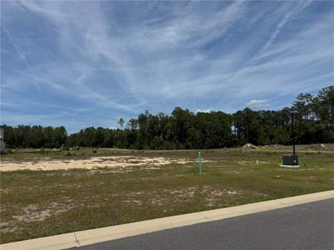 14772 SW 11th Place, Newberry FL - photo 6 of 6