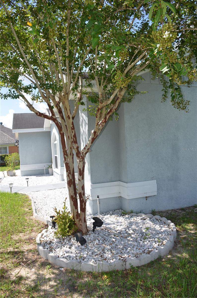 3 bedroom Single Family Residence at 9916 SW 56th Avenue, Meadow Glenn Un 03A, Ocala — photo 4