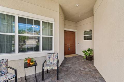32732 Tree Of Life Avenue, Wesley Chapel FL - photo 6 of 64