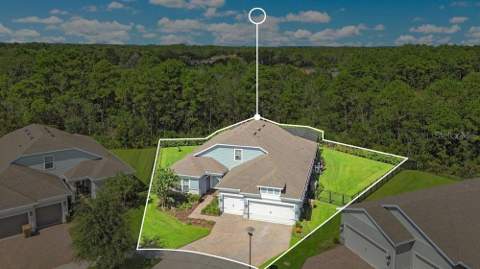 6100 Sandy Springs Court, St Cloud FL - photo 10 of 74