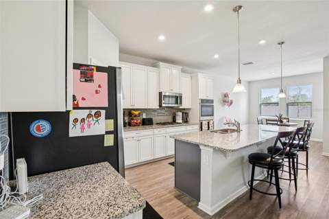 12326 Blue Pacific Drive, Riverview FL - photo 8 of 35