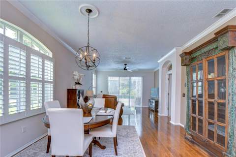 9815 Gingerwood Drive, Tampa FL - photo 22 of 48
