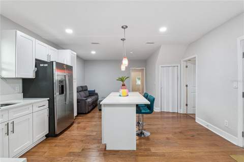 732 E Orange Avenue, Eustis FL - photo 6 of 6