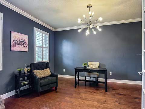 3117 Majestic View Drive, Lutz FL - photo 9 of 71
