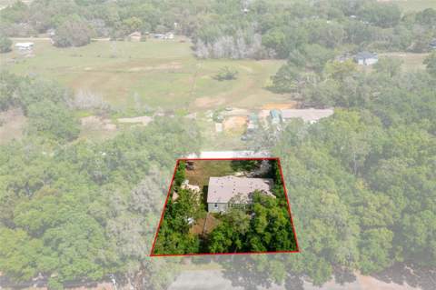 38616 Coleen Avenue, Zephyrhills FL - photo 6 of 67