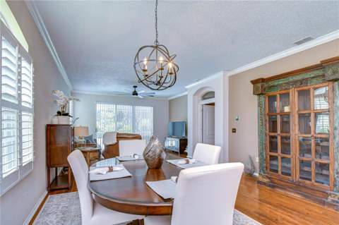 9815 Gingerwood Drive, Tampa FL - photo 6 of 48