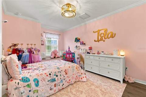 3123 Dunstable Drive, Land O Lakes FL - photo 19 of 43