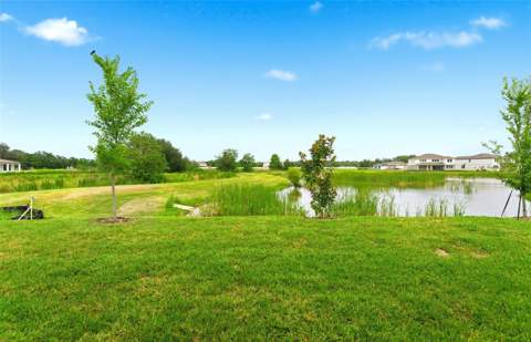 37821 Clinch Circle, Zephyrhills FL - photo 23 of 32