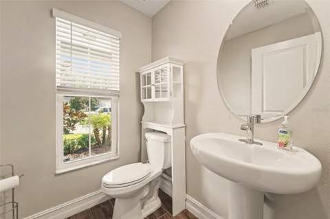 21590 Violet Periwinkle Drive, Land O Lakes FL - photo 18 of 50