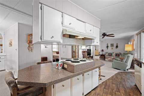 36957 Grace Avenue, Zephyrhills FL - photo 12 of 68