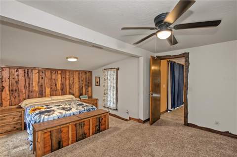24970 NE 130th Lane, Salt Springs FL - photo 17 of 43