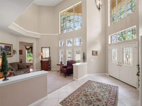 17422 Heather Oaks Place, Tampa FL - photo 9 of 78