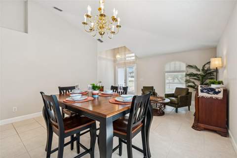 353 Bay Arbor Boulevard, Oldsmar FL - photo 6 of 29