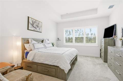 32604 Tree Of Life Avenue, Wesley Chapel FL - photo 23 of 65