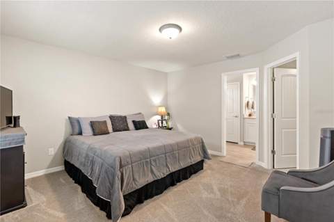 11874 Blamey Trail, Odessa FL - photo 24 of 52
