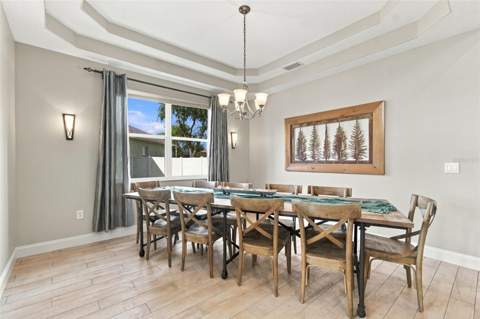 3335 Stonegate Falls Drive, Land O Lakes FL - photo 14 of 83