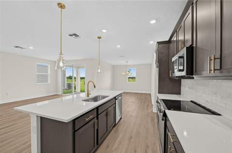 30134 Emerald Forest Drive, Mount Dora FL - photo 17 of 38