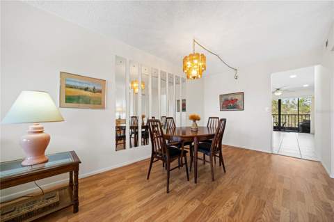 4910 Bay Street #311, St Petersburg FL - photo 11 of 48