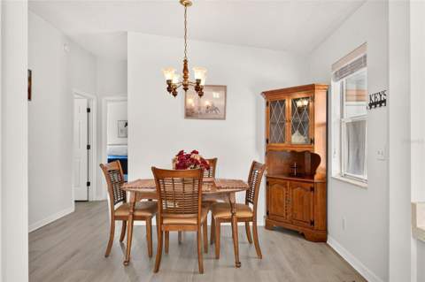 1207 Palmetto Drive, The Villages FL - photo 23 of 71
