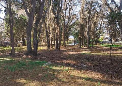 8807 Overlook Drive, Wesley Chapel FL - photo 6 of 6