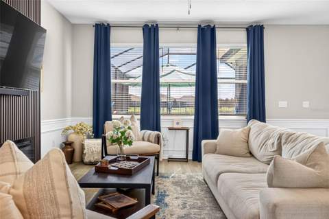34117 White Fountain Court, Wesley Chapel FL - photo 7 of 99