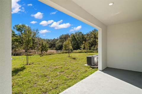1393 Colt Creek Place, Wesley Chapel FL - photo 9 of 24