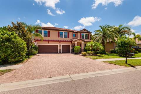 4611 Grand Preserve Place, Palm Harbor FL - photo 6 of 6