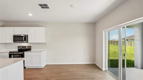 11912 Mountain Island Trail, Parrish FL - photo 7 of 47