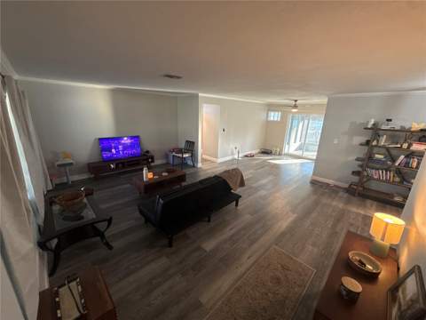 903 N Harbor Terrace, Tavares FL - photo 9 of 71