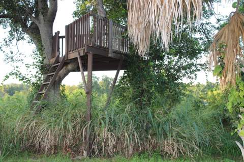 1304 Alameda Avenue, Clearwater FL - photo 12 of 48
