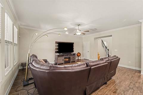 21590 Violet Periwinkle Drive, Land O Lakes FL - photo 11 of 50