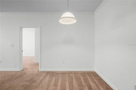 18525 Bridle Club Drive #18525, Tampa FL - photo 19 of 38